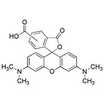 5(6)-Carboxy-tetramethylrhodamine|14719|98181-63-6