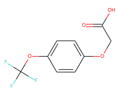 2-(4-(Trifluoromethoxy)phenoxy)acetic acid|CS-0041702|72220-50-9