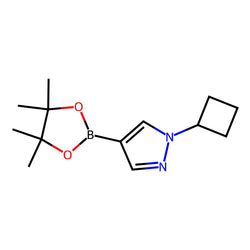1-Cyclobutyl-4-(4,4,5,5-tetramethyl-1,3,2-dioxaborolan-2-yl)-1H-pyrazole|CS-W018839|1002309-48-9