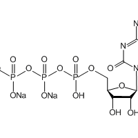 Cytidine 5'-triphosphate disodium salt, 98%|126142|36051-68-0
