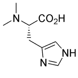 N,N-Dimethyl-histidine|09542|24940-57-6