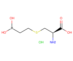 BEC HCl, 98%, a slow-binding and competitive Arginase II inhibitor|127671|222638-67-7
