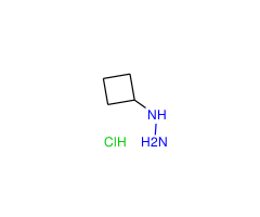 Cyclobutylhydrazine hydrochloride|CS-D1710|158001-21-9
