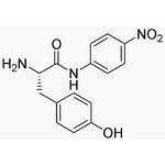L-Tyrosine 4-nitroanilide|04660|52551-07-2