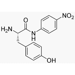 L-Tyrosine 4-nitroanilide|04660|52551-07-2