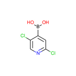 2,5-Dichloropyridine-4-boronic acid|CS-W020545|847664-64-6
