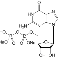 Guanosine 5'-diphosphate (disodium salt)|CS-W011515|7415-69-2