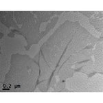 Nickel/palladium alloy nanoparticle on graphene (G-Ni₃₃Pd₆₇)|28-0015