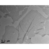 Nickel/palladium alloy nanoparticle on graphene (G-Ni33Pd67)|28-0015
