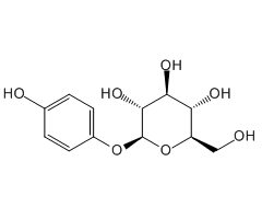 4-Hydroxyphenyl β-D-glucopyranoside, 98%|133706|497-76-7
