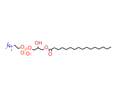 1-Palmitoyl-rac-glycero-3-phosphocholine|CPTD785605|17364-18-0