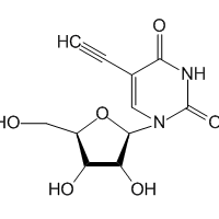 5-Ethynyl uridine, 98%|915979|69075-42-9