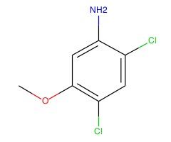 2,4-Dichloro-5-methoxyaniline|CS-W015831|98446-49-2