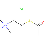 Acetylthiocholine (chloride)|CS-0199449|6050-81-3