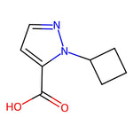 1-Cyclobutyl-1H-pyrazole-5-carboxylic acid|CS-0374605|1556315-61-7