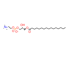 1-Palmitoyl-sn-glycero-3-phosphocholine|CPTD785606|17364-16-8