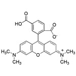 6-Carboxy-tetramethylrhodamine|16901|91809-67-5