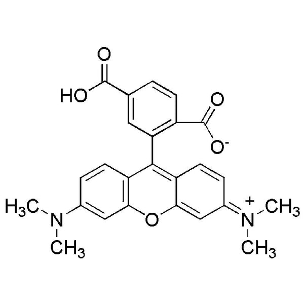 6-Carboxy-tetramethylrhodamine|16901|91809-67-5