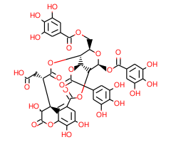 Chebulinic acid, 98%, a potent natural inhibitor of M. tuberculosis DNA gyrase|150210|18942-26-2
