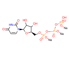 Uridine triphosphate (trisodium salt)|CS-W013809|19817-92-6