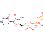 Uridine triphosphate (trisodium salt)|CS-W013809|19817-92-6