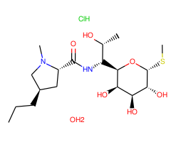 Lincomycin hydrochloride monohydrate, 98%, a narrow-spectrum antibiotic|153476|7179-49-9