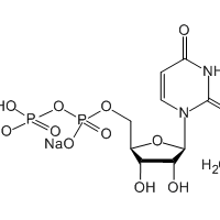 Uridine 5′-diphosphate disodium salt, 98%|155296|27821-45-0