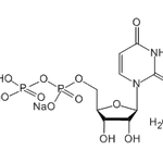 Uridine-5'-diphosphate disodium salt|CS-W011548|27821-45-0