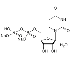Uridine-5'-diphosphate disodium salt|CS-W011548|27821-45-0