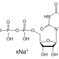 Uridine 5'-diphosphate sodium salt, 95%|972242|21931-53-3