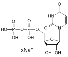 Uridine 5'-diphosphate sodium salt, 95%|972242|21931-53-3