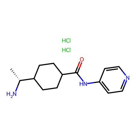 Y27632 Dihydrochloride|C3D-4654|129830-38-2