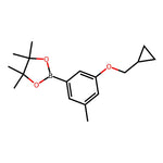 2-(3-(Cyclopropylmethoxy)-5-methylphenyl)-4,4,5,5-tetramethyl-1,3,2-dioxaborolane|CS-0175815|1218789-80-0