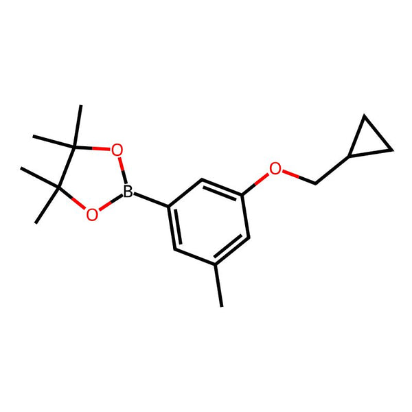 2-(3-(Cyclopropylmethoxy)-5-methylphenyl)-4,4,5,5-tetramethyl-1,3,2-dioxaborolane|CS-0175815|1218789-80-0
