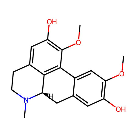 Boldine|C3D-4924|476-70-0