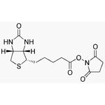 Biotin-N-hydroxysuccinimide|00946|35013-72-0