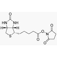 Biotin-N-hydroxysuccinimide|00946|35013-72-0