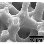 Palladium on carbon - 1 wt % loading, activated synthetic carbon powder|46-1610|7440-05-3