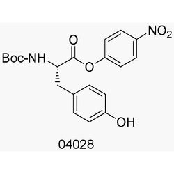 Boc-L-tyrosine 4-nitrophenyl ester|04028|20866-55-1
