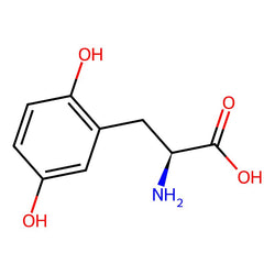 (S)-2-amino-3-(2,5-dihydroxyphenyl)propanoic acid hydrobromide|C1497581|32361-24-3