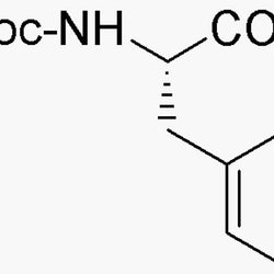 Fmoc-L-phenylalanine|02443|35661-40-6
