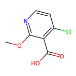 4-Chloro-2-methoxynicotinic acid|CS-0042692|605661-81-2