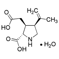 Kainic acid monohydrate|00552|58002-62-3