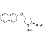 (2S,4R)-Boc-4-(2-naphthyloxy)pyrrolidine-2-carboxylic acid|22647|1423018-10-3