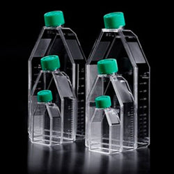 Cell Culture Flask with Filter Cap,PS, 175cm2, TC treated, Sterile to SAL10-6.  5 Flasks/Bag, 8 Bags/Case|71175