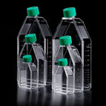 Cell Culture Flask with Filter Cap,PS, 75cm2, TC treated, Sterile to SAL10-6. 5 Flasks/Bag, 20 Bags/Case|70075