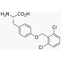 O-2,6-Dichlorobenzyl-L-tyrosine|04721|40298-69-9