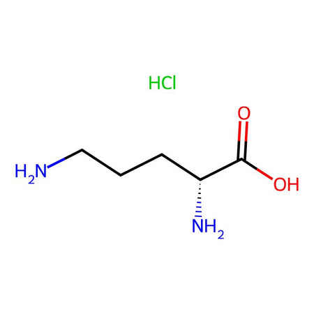 D-Ornithine monohydrochloride|C3D-2190|16682-12-5