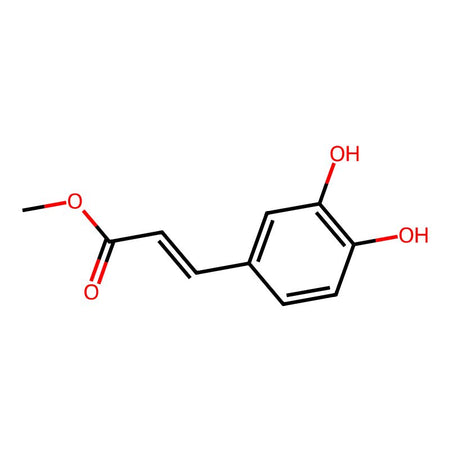 Caffeic acid methyl ester, 98%, from Lonicerajaponica thunb rattan|177466|3843-74-1