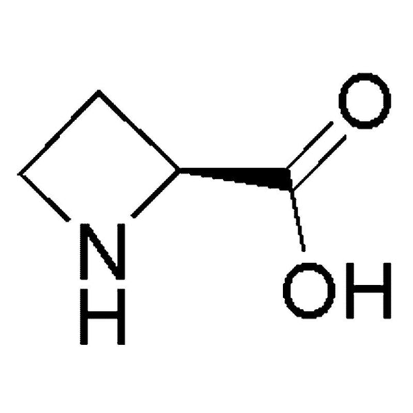 L-Azetidine-2-carboxylic acid|04462|2133-34-8